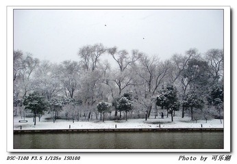 隔岸观雪