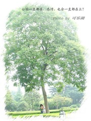 纪念