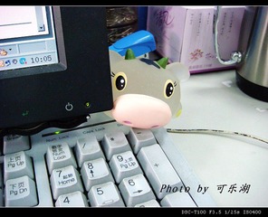 小牛