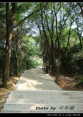 山路