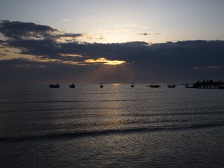 IMG_4801_1.JPG