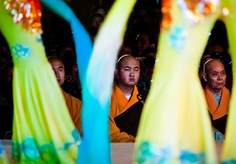 静观其变_MG_10872