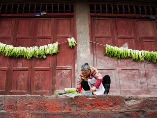 做盐菜
