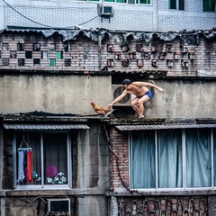 “鸡”不可失