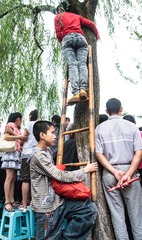 无票的龙舟赛看客5+刘万荣+四川省内江市13088226078