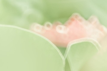 生命（1）_MG_2213