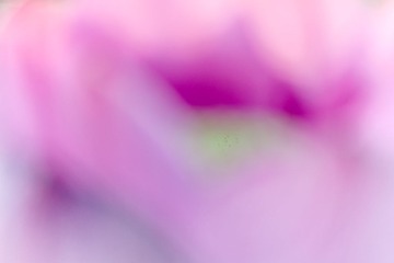 生命（3）_MG_2879