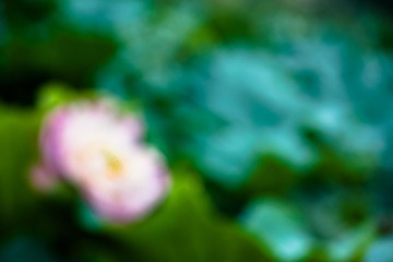 生命（5）_MG_3304