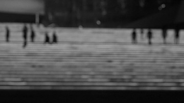 DSC09040.jpg