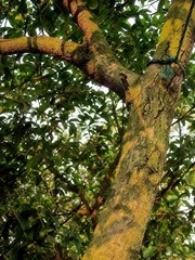 IMG_1609_1