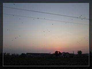 08.jpg
