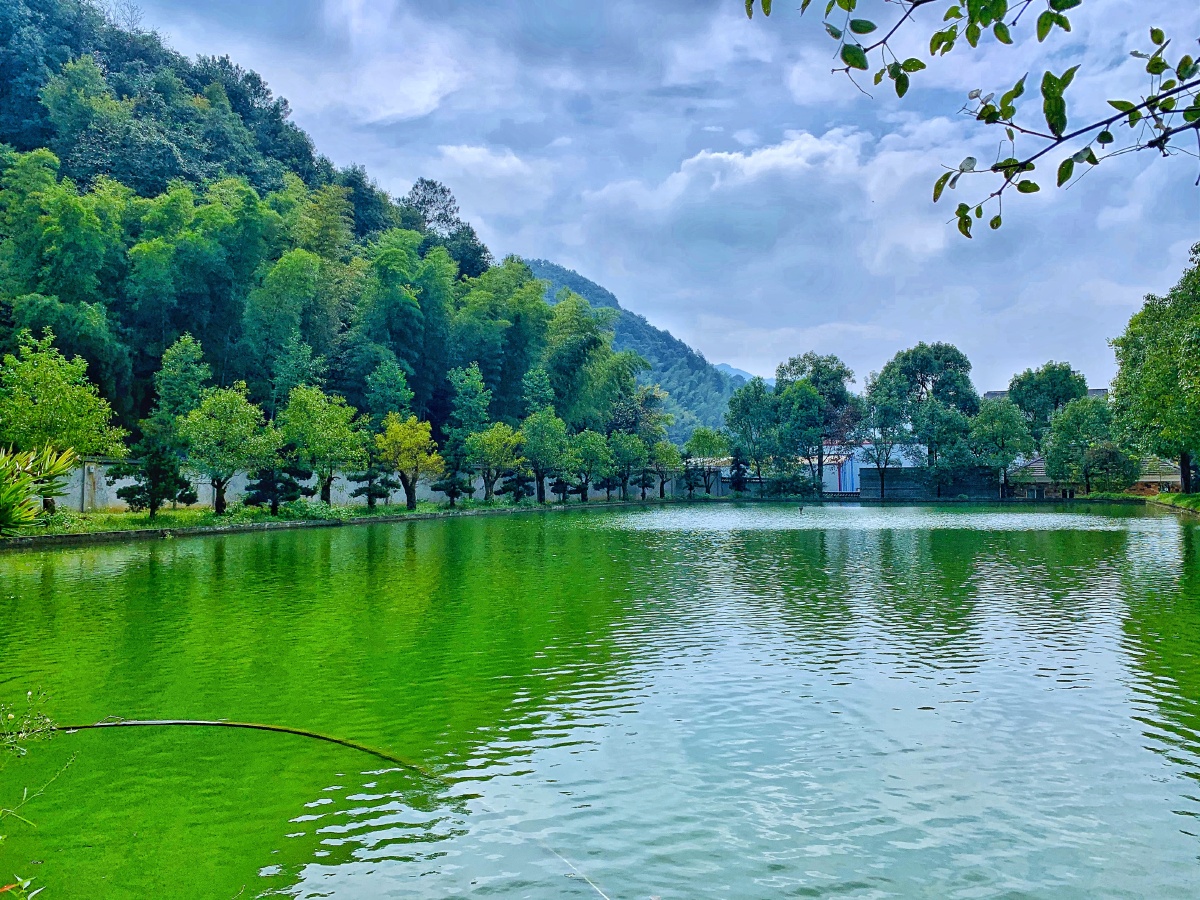 富春山水美如画