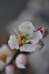 _DSC0004.JPG