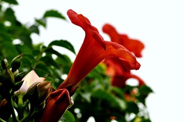 _DSC0083.JPG