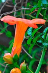 _DSC0091.JPG