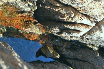_DSC0426.JPG