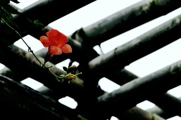_DSC0101.JPG