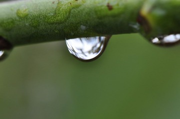 _DSC0088.JPG