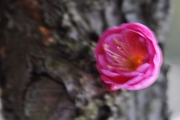 复件 _DSC0161.JPG