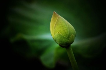 _DSC0033