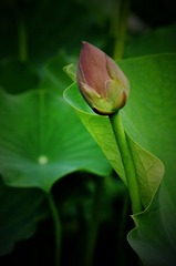 _DSC0065