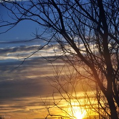 _DSC0028.jpg