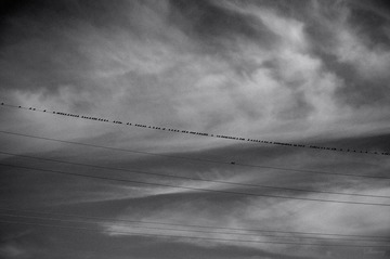 _DSC0048.jpg