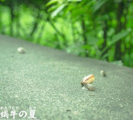 IMG_1907.jpg