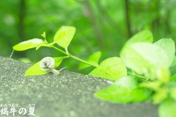 IMG_1918.jpg