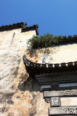DPP_441