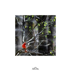 IMG_3961x.jpg
