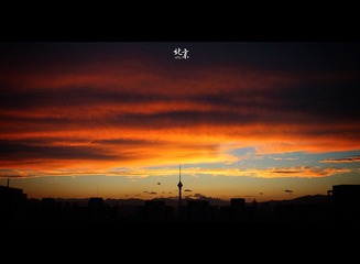 IMG_9628x.jpg