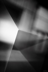 IMG_0101x.jpg