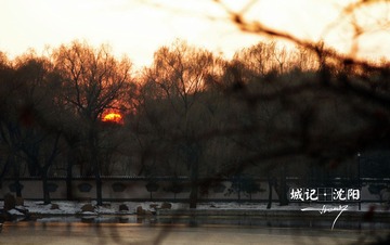 IMGP2114.jpg