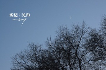 IMGP2117.jpg