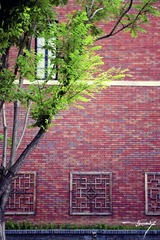 IMGP4911.jpg