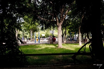IMGP4864-1.jpg