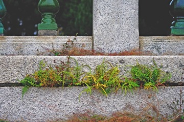 IMGP0449.jpg