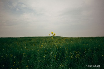 skyline-002