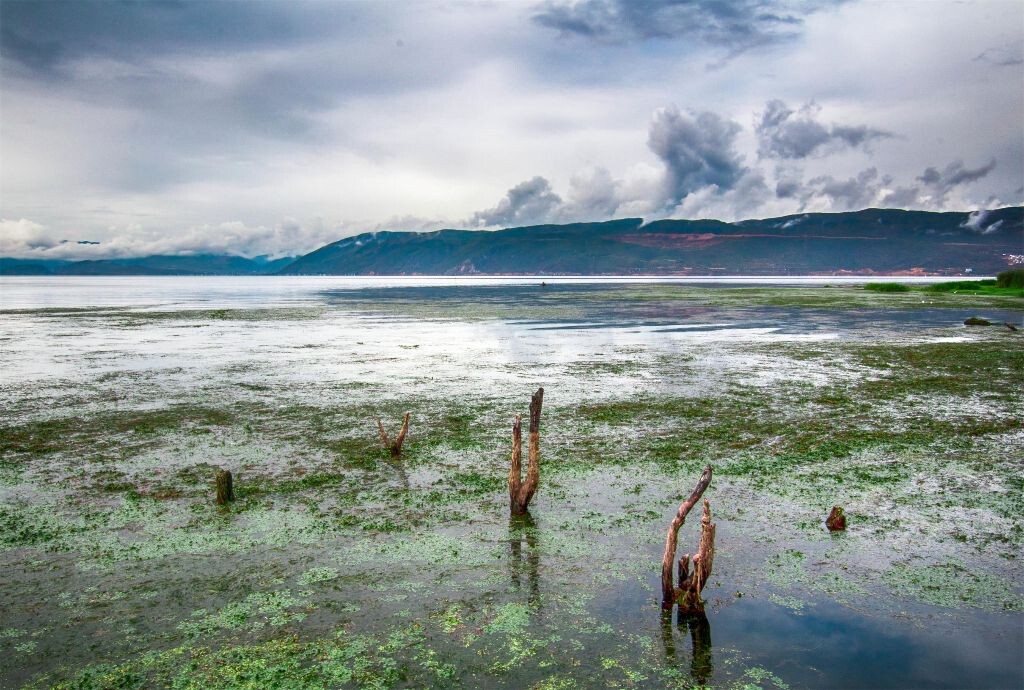 暑假和男男一块去云南旅行。虽然一直下雨,没能好好拍照片,不过还是乐在其中。