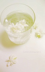 Jasmine Flower