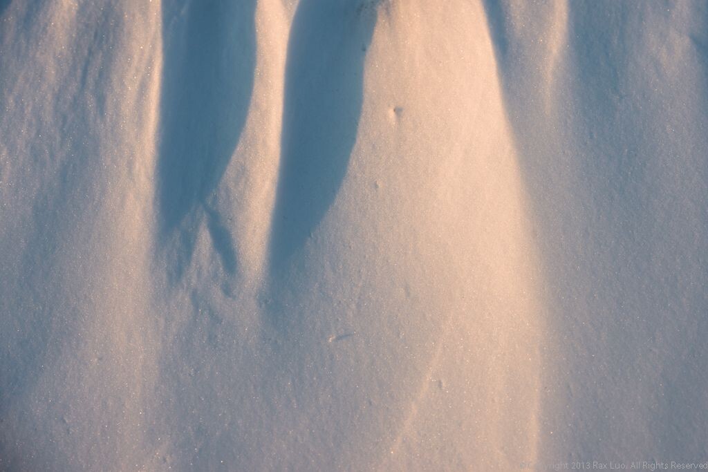 _8003350<br />
