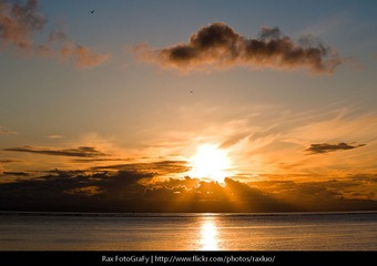 _DSC3502.jpg