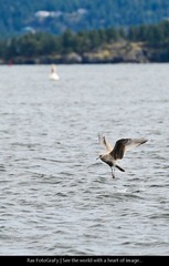 DSC_4295.jpg