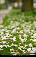 DSC_8837.jpg