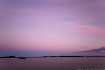 _8007005.jpg