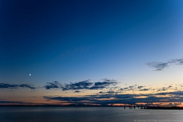 _8007009.jpg