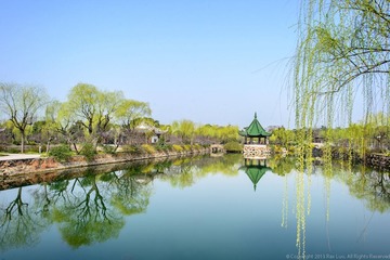 800_0776.jpg