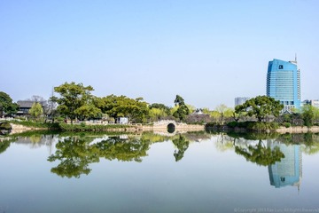 800_0770.jpg