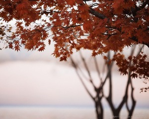 _8LS5291-编辑